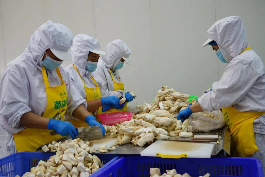云南易门益生绿色食品有限责任公司产品研发